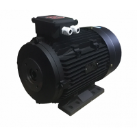 Мотор H 132 7,5 KW (Полый вал 1846А)